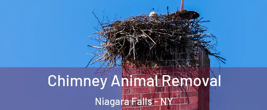 Chimney Animal Removal Niagara Falls - NY