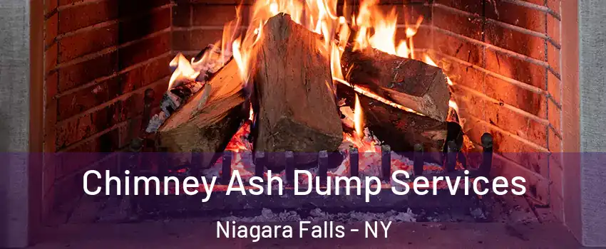  Chimney Ash Dump Services Niagara Falls - NY