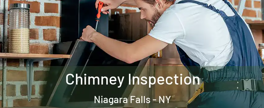  Chimney Inspection Niagara Falls - NY