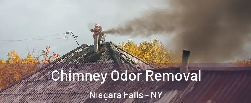  Chimney Odor Removal Niagara Falls - NY