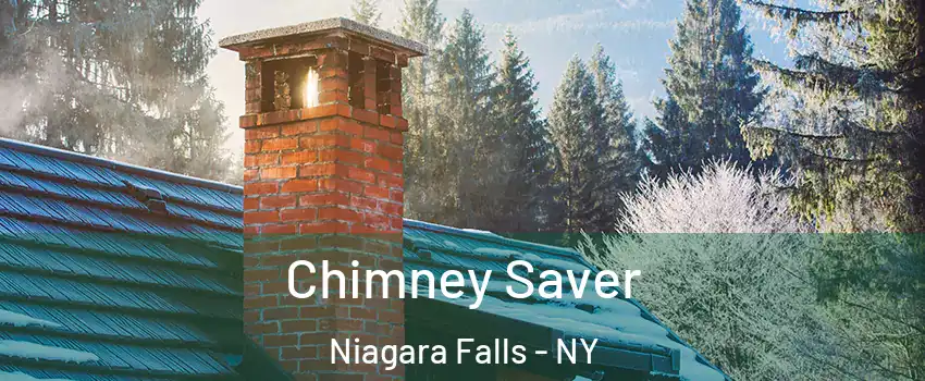  Chimney Saver Niagara Falls - NY