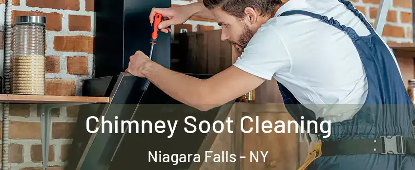 Chimney Soot Cleaning Niagara Falls - NY