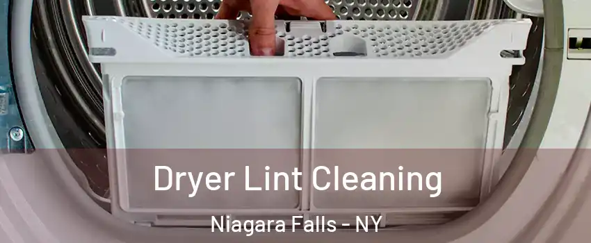  Dryer Lint Cleaning Niagara Falls - NY