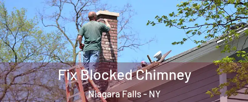  Fix Blocked Chimney Niagara Falls - NY