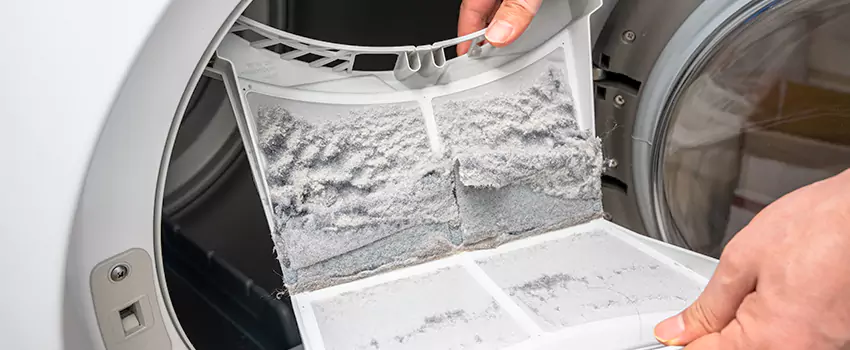 Best Dryer Lint Removal Company in Niagara Falls, New York