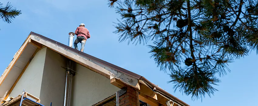 Birds Removal Contractors from Chimney in Niagara Falls, NY
