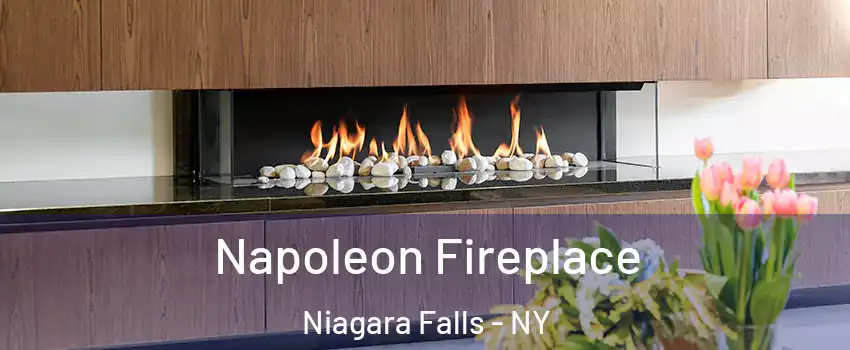  Napoleon Fireplace Niagara Falls - NY